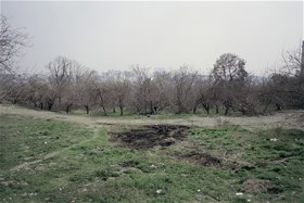 Shahrak e Gharb Forest Park, Tehran(2015), Analog Photography, Chemical Print on Photo Paper, 20x30(cm)