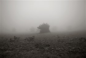 2012, digital photography, chemical print on photo paper, 50x75(cm)