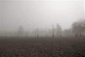 2010, digital photography, chemical print on photo paper, 50x75(cm)