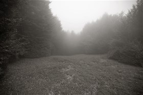 2013, digital photography, chemical print on photo paper, 50x75(cm)