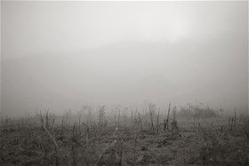 2012, digital photography, chemical print on photo paper, 16x21(cm)