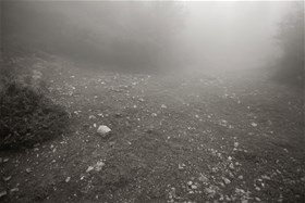 2012, digital photography, chemical print on photo paper, 16x21(cm)