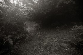 2012, digital photography, chemical print on photo paper, 16x21(cm)