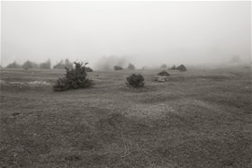 2013, digital photography, chemical print on photo paper, 16x21(cm)
