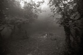 2012, digital photography, chemical print on photo paper, 50x75(cm)