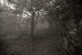 2012, digital photography, chemical print on photo paper, 50x75(cm)