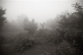 2012, digital photography, chemical print on photo paper, 50x75(cm)