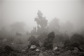 2012, digital photography, chemical print on photo paper, 50x75(cm)