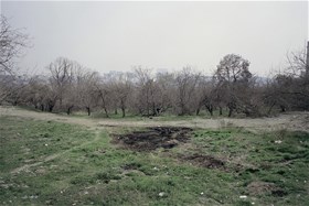 Shahrak e Gharb Forest Park, Tehran(2015), Analog Photography, Chemical Print on Photo Paper, 20x30(cm)