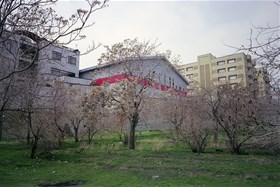 Iran Zamin, Tehran(2015), Analog Photography, Medium Format, Chemical Print on Photo Paper, 20x30(cm)