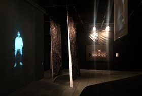 Wetlands, Darbast Platform