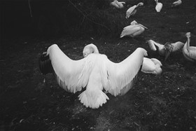 Prague, Czech Republic, 2018, Analog Photography