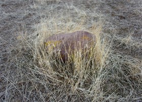 Untitled, Iran, 2020, Digital Photography