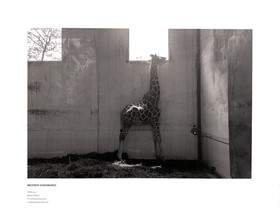 (2023) Fresh Eyes International, Haute Photographie Amsterdam, Netherlands